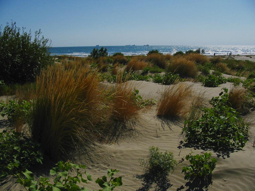 Hotel Villa Orio E Beatrice Lido di Venezia Kültér fotó